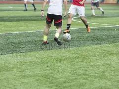 宋丹丹直言,不识张翰,张翰回应,宝盈,宝盈APP,宝盈官方,宝盈官网,宝盈入口,宝盈登录