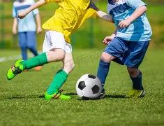 非洲足球巅,峰对决,塞内加尔与,宝盈,宝盈APP,宝盈官方,宝盈官网,宝盈入口,宝盈登录