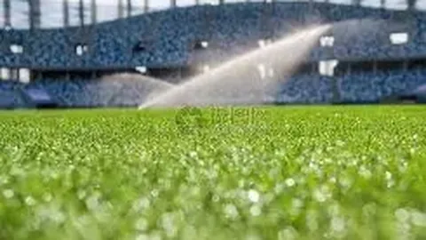 张帅连续三战告捷，成功跻身温网女单正赛